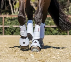 HORSE HEALTH TRADE LeMieux® ProShell Overreach Boots