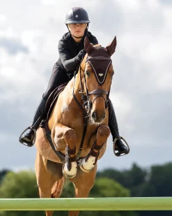 HORSE HEALTH TRADE LeMieux® Puissance Fly Hood
