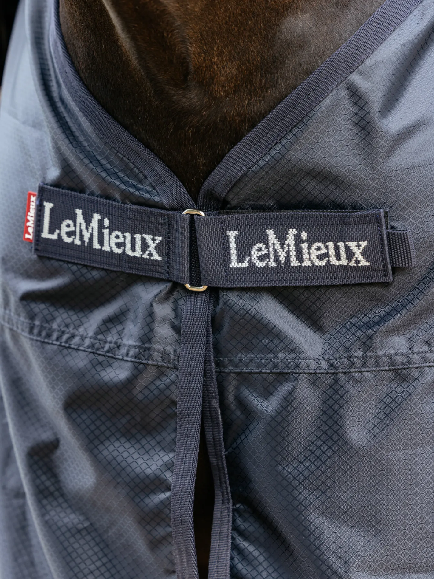 HORSE HEALTH TRADE LeMieux™ Rain Sheet