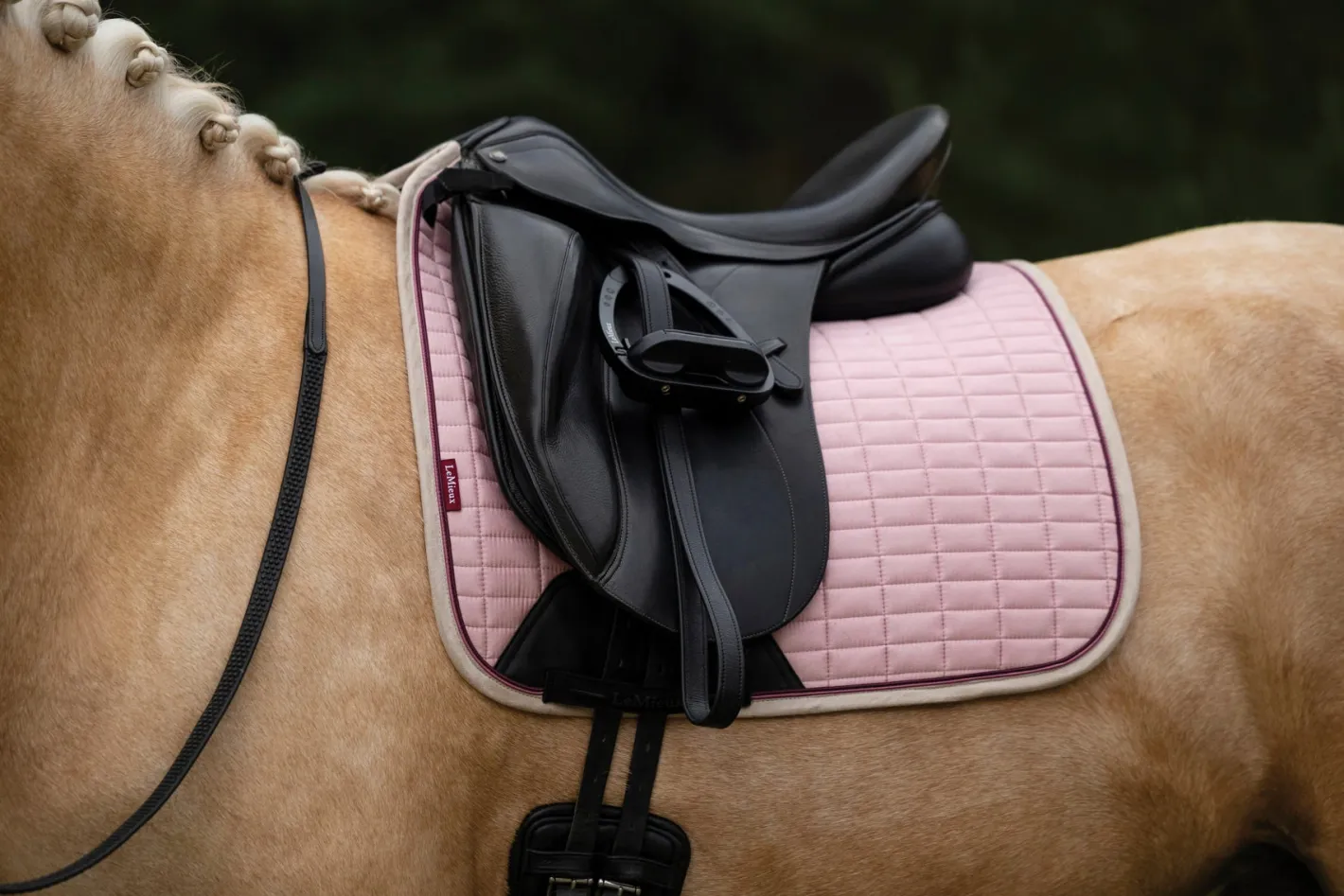 HORSE HEALTH TRADE LeMieux® Suede Dressage Pad