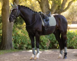 HORSE HEALTH TRADE LeMieux® Suede Dressage Saddle Pad