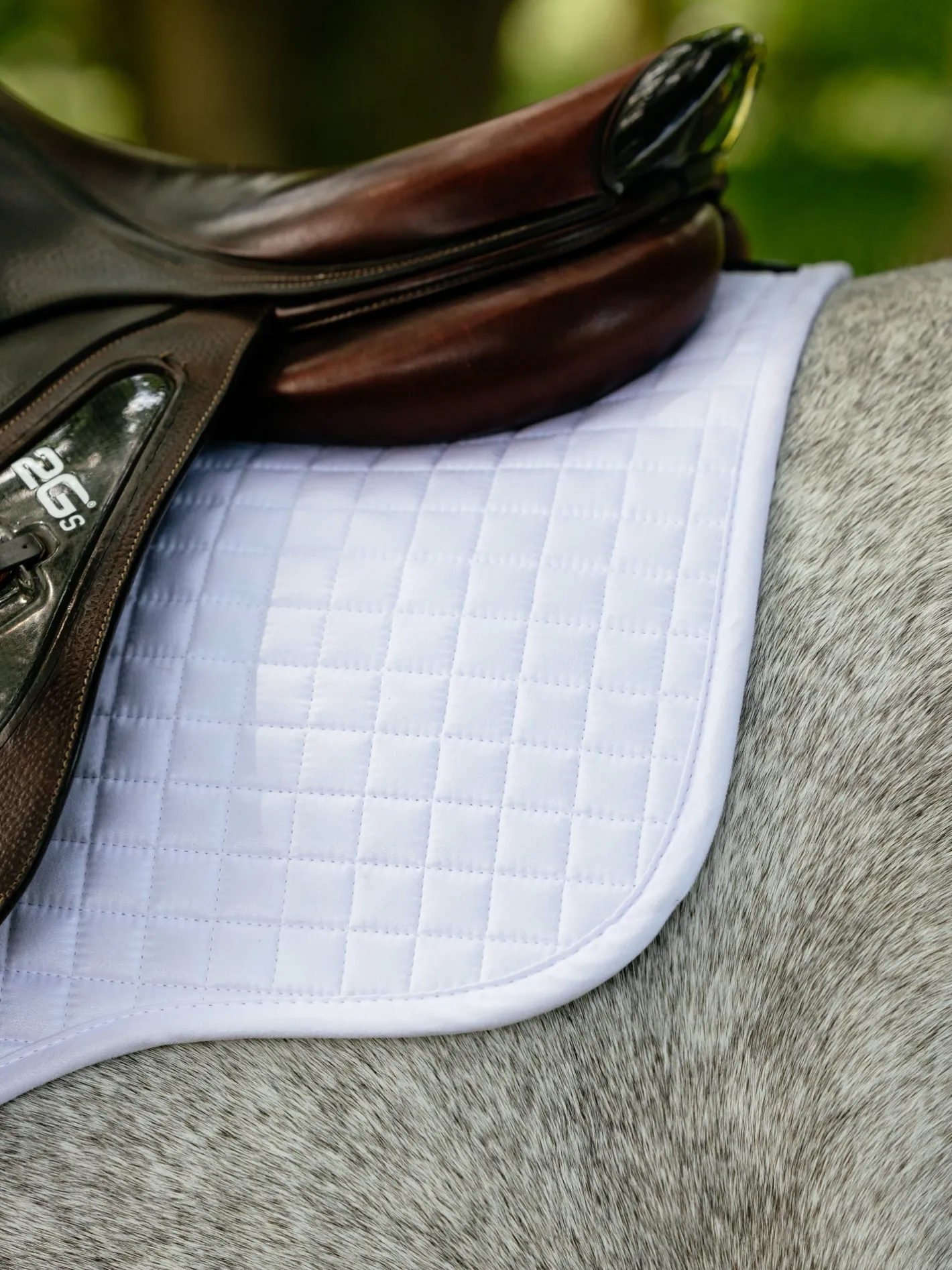 HORSE HEALTH TRADE LeMieux® Suede GP Saddle Pad