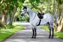 HORSE HEALTH TRADE LeMieux® Suede GP Saddle Pad