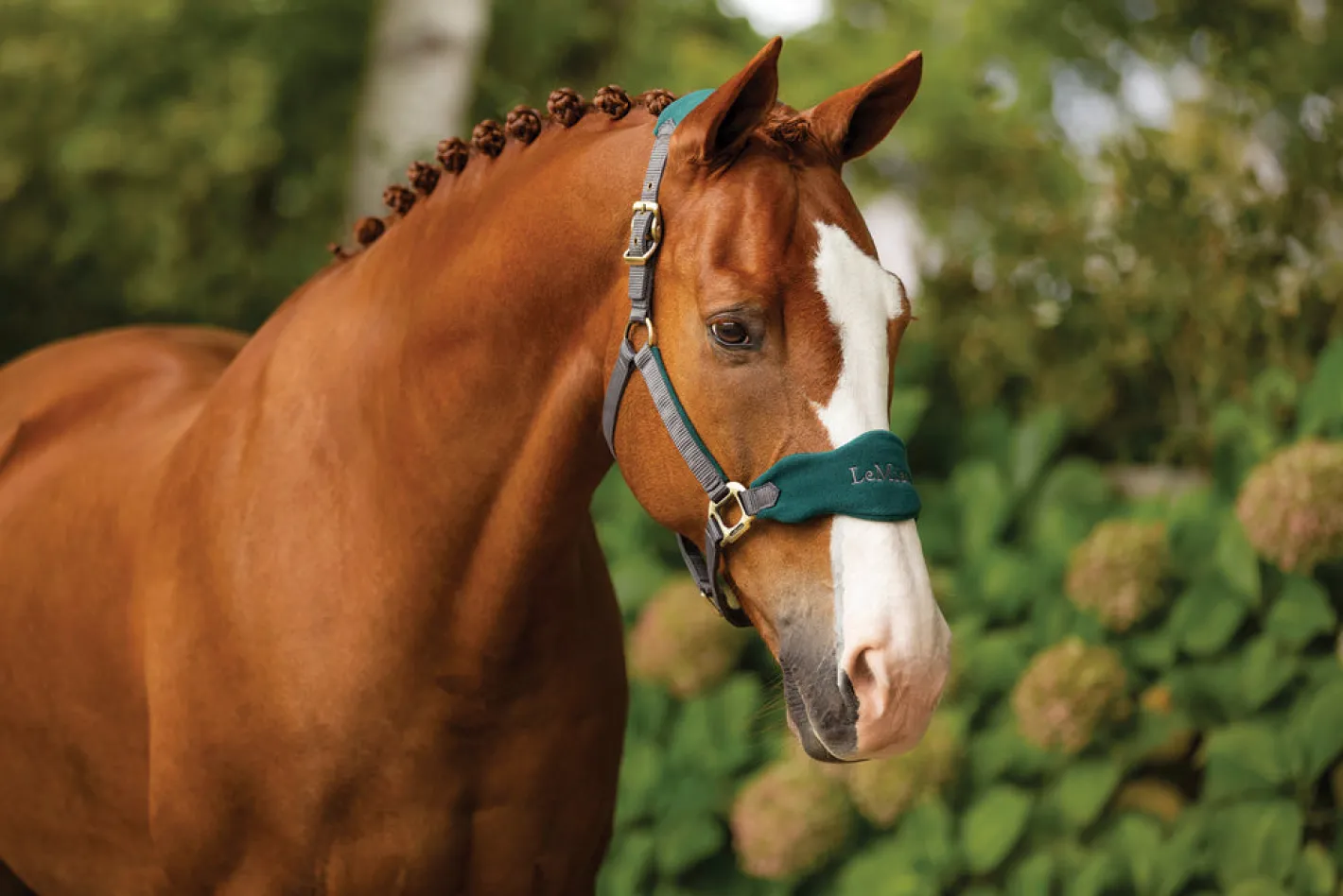 HORSE HEALTH TRADE LeMieux® Vogue Halter & Lead Rope Set