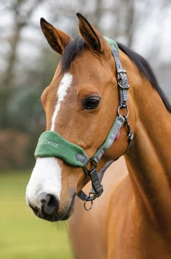 HORSE HEALTH TRADE LeMieux® Vogue Halter & Rope Lead Set