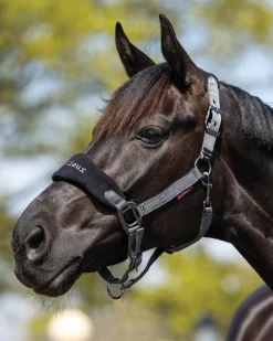 HORSE HEALTH TRADE LeMieux® Vogue Halter & Rope Lead Set