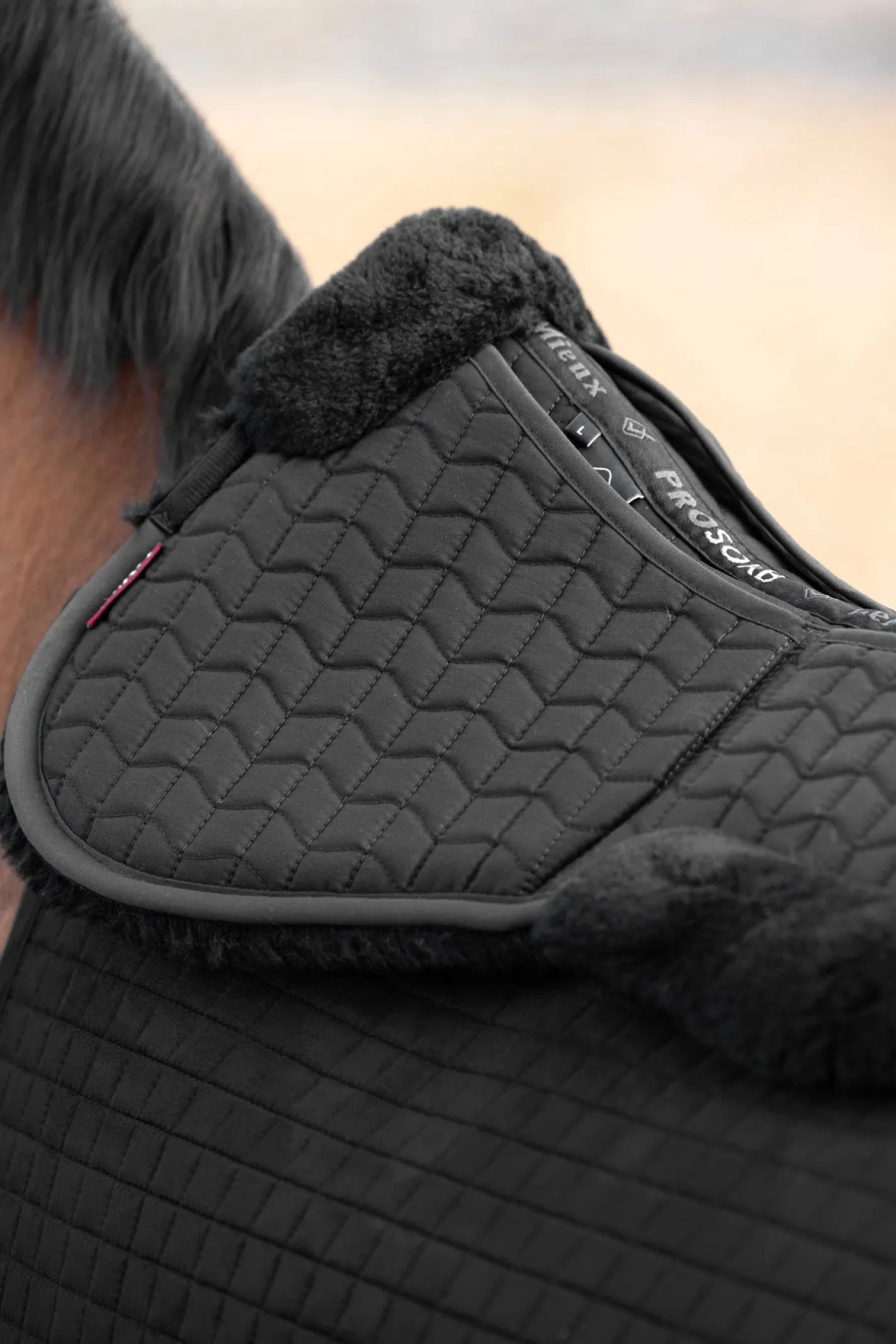 HORSE HEALTH TRADE LeMieux® Merino+ ProSorb 2-Pocket Half Pad
