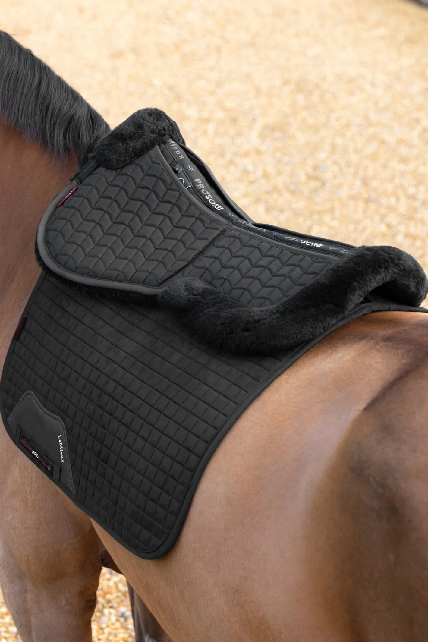 HORSE HEALTH TRADE LeMieux® Merino+ ProSorb 2-Pocket Half Pad