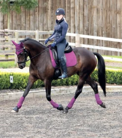 HORSE HEALTH TRADE LeMieux® Suede Dressage Square Pad