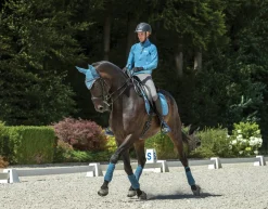 HORSE HEALTH TRADE LeMieux® Suede Dressage Square Pad