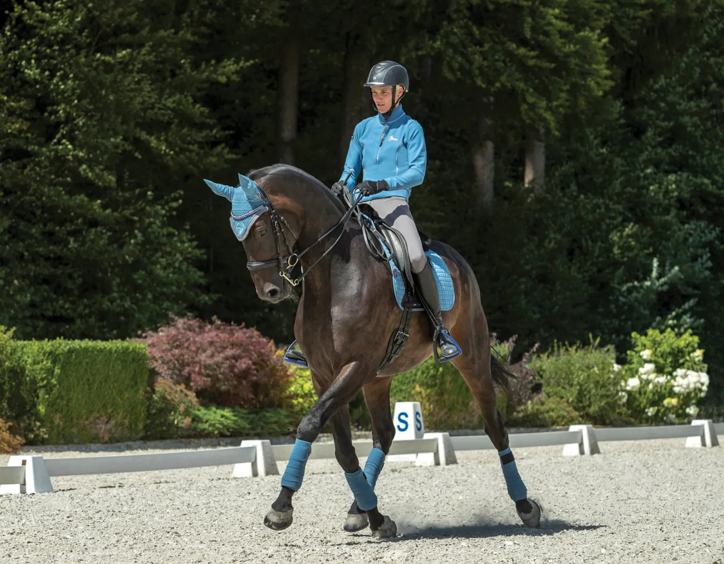 HORSE HEALTH TRADE LeMieux® Suede Dressage Square Pad