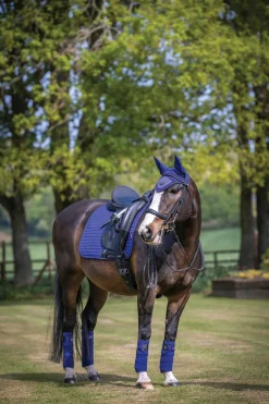 HORSE HEALTH TRADE LeMieux® Suede Dressage Square Pad