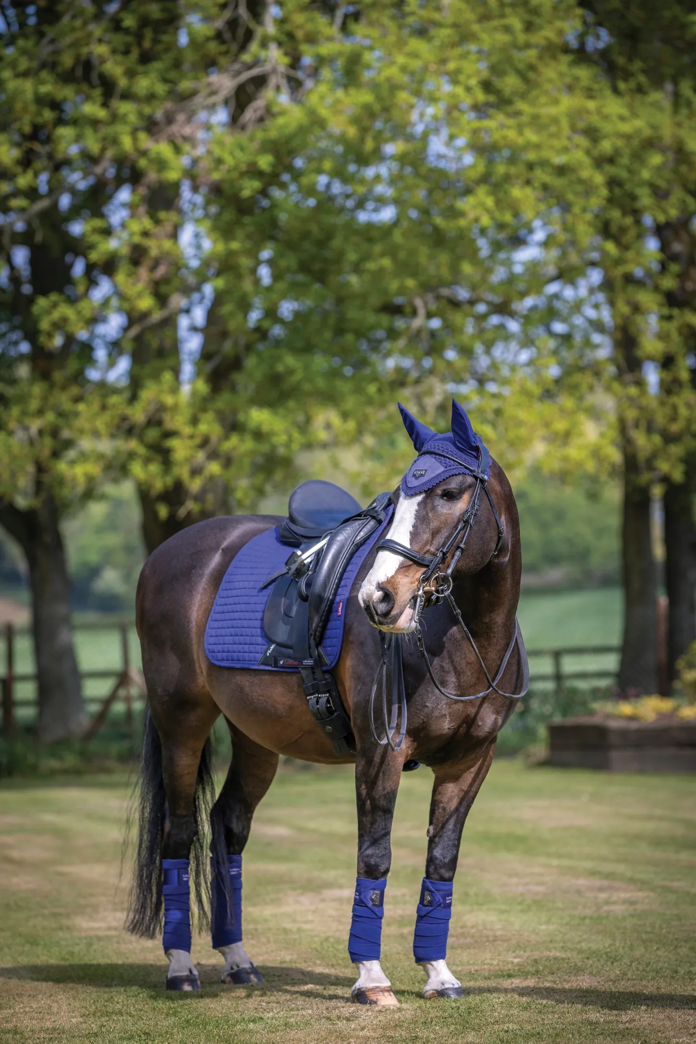 HORSE HEALTH TRADE LeMieux® Suede Dressage Square Pad