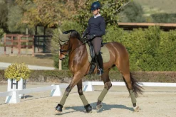 HORSE HEALTH TRADE LeMieux® Suede Dressage Square Pad