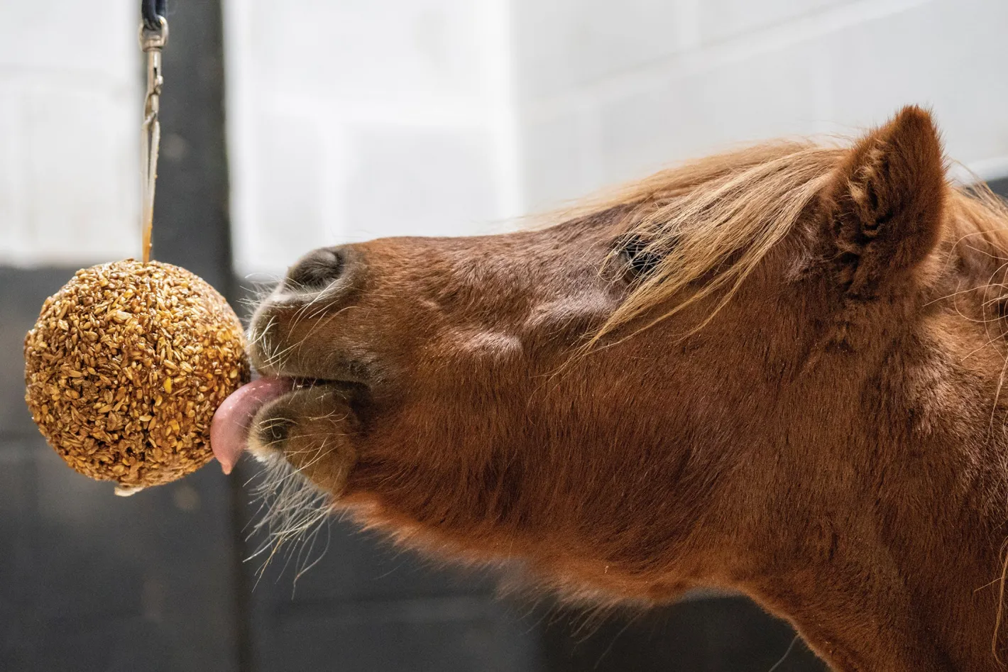 RJ MATTHEWS Likit™ Granola Stall Ball