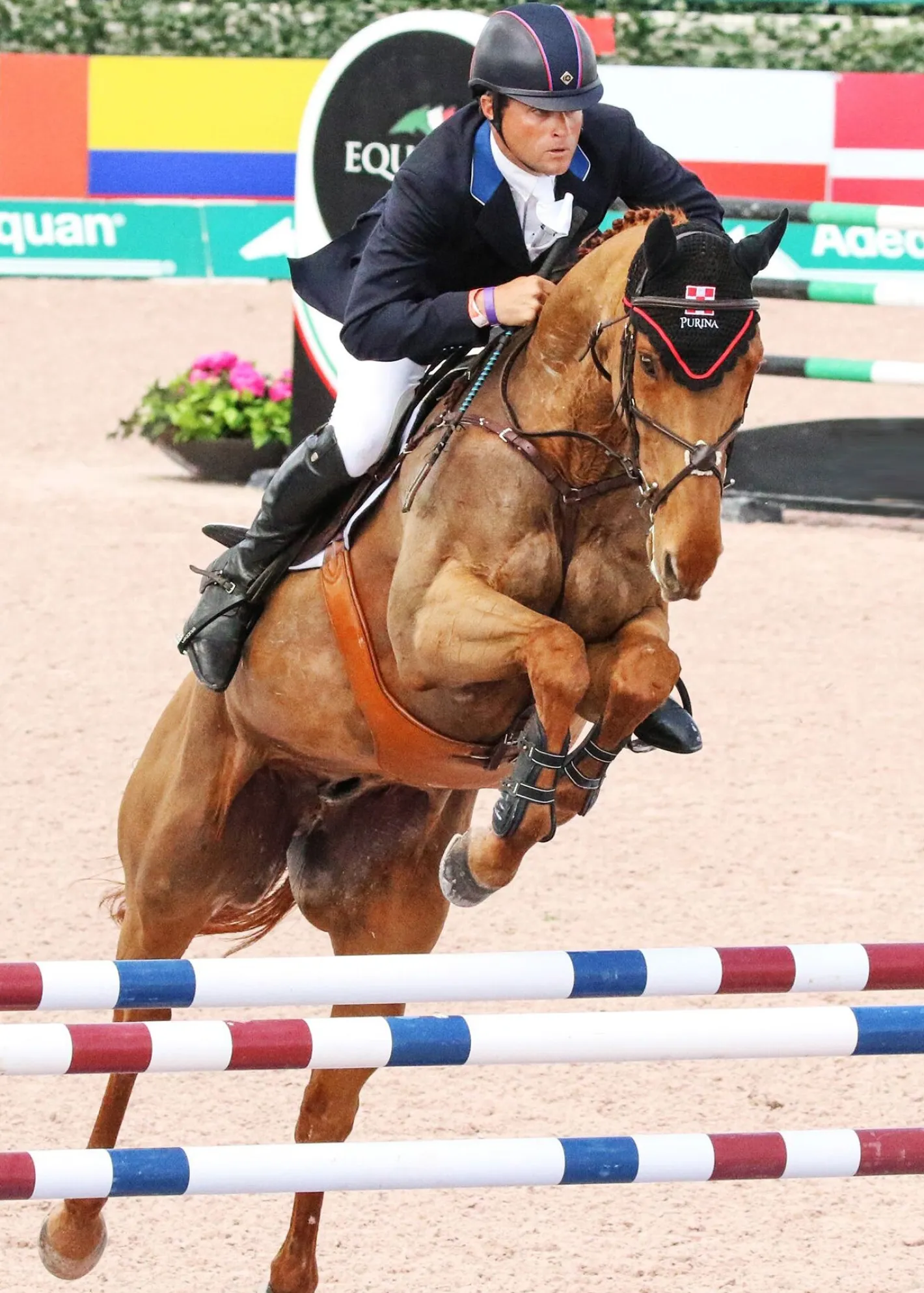 MAJYK EQUIPE ® Stadium Front Jump Boots with Arti-Lage™ Impact Technology