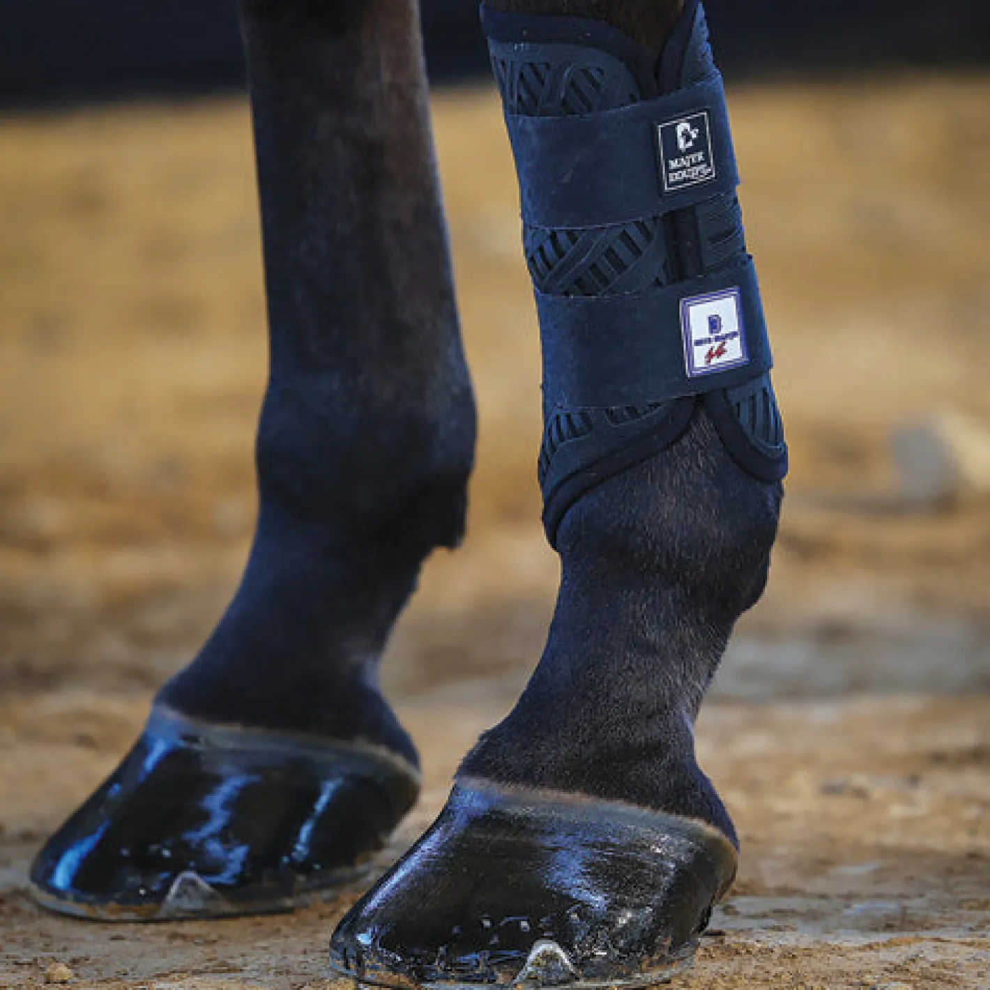 MAJYK EQUIPE ® XC Elite Front Boots with Arti-Lage™ Technology