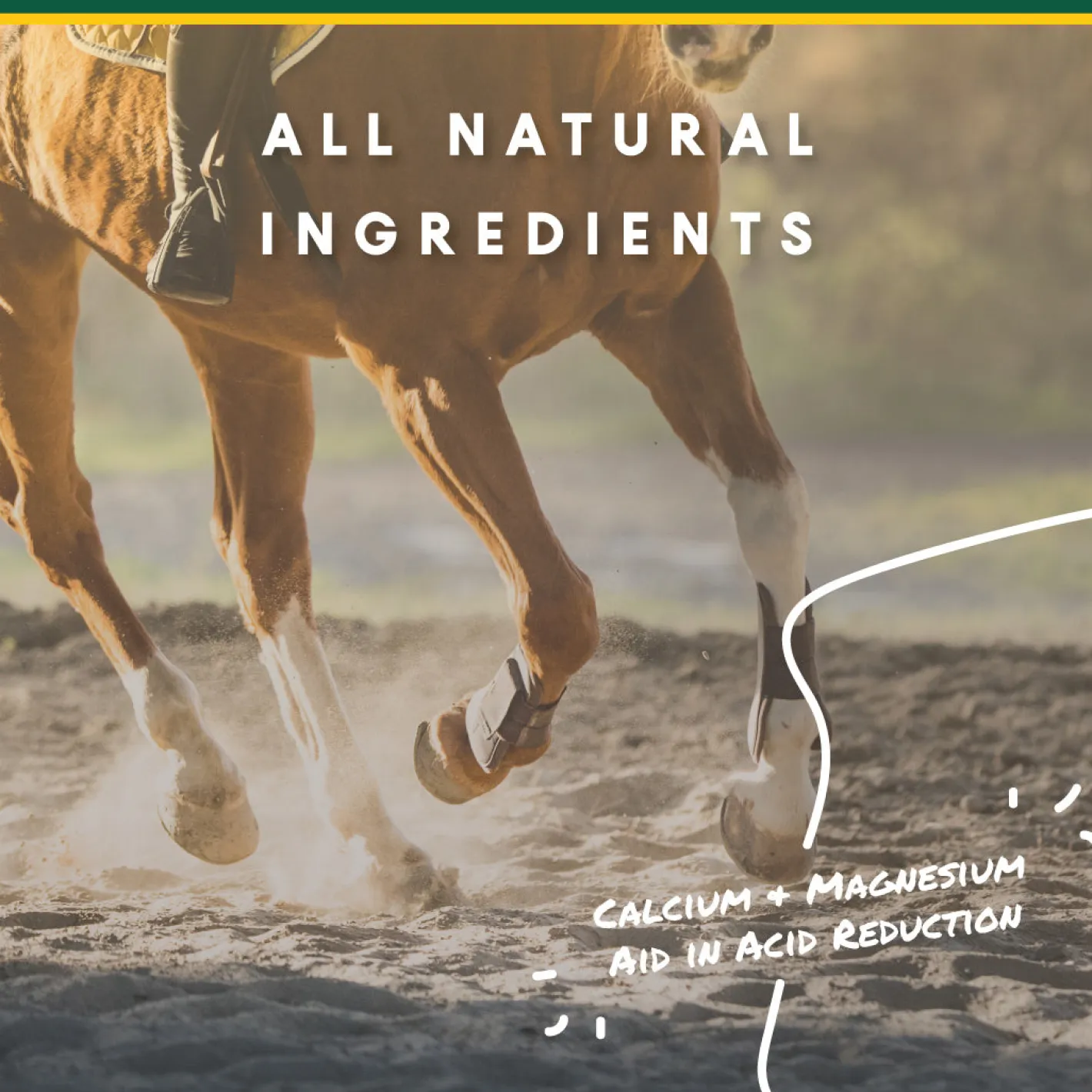 ANIMAL HEALTH INT Manna Pro® Corta-Flx® U-Gard™ Pellets, 4 Pounds