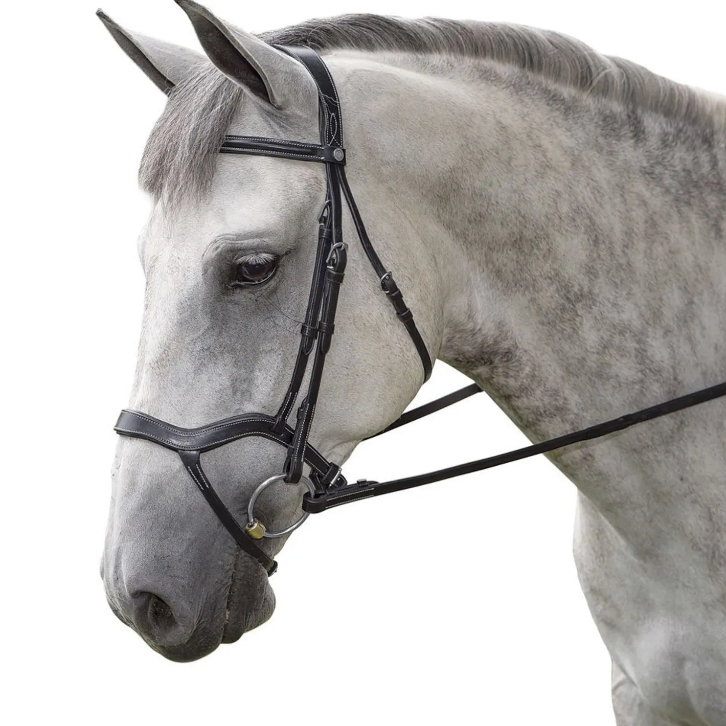 INT RIDING HELMET Marcel Toulouse Hybrid Dressage Bridle