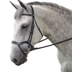 INT RIDING HELMET Marcel Toulouse Hybrid Dressage Bridle