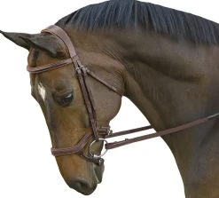 INT RIDING HELMET Marcel Toulouse Hybrid Jumper Bridle