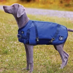 CWEAR BRANCH NorthWind™ Dog Turnout Blanket