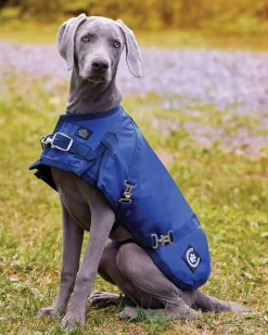 CWEAR BRANCH NorthWind™ Dog Turnout Blanket