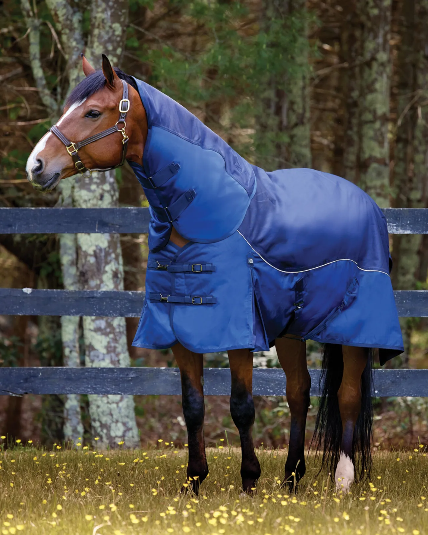CWEAR BRANCH NorthWind™ Light-Weight Turnout Blanket with Detachable Neck–100 grams