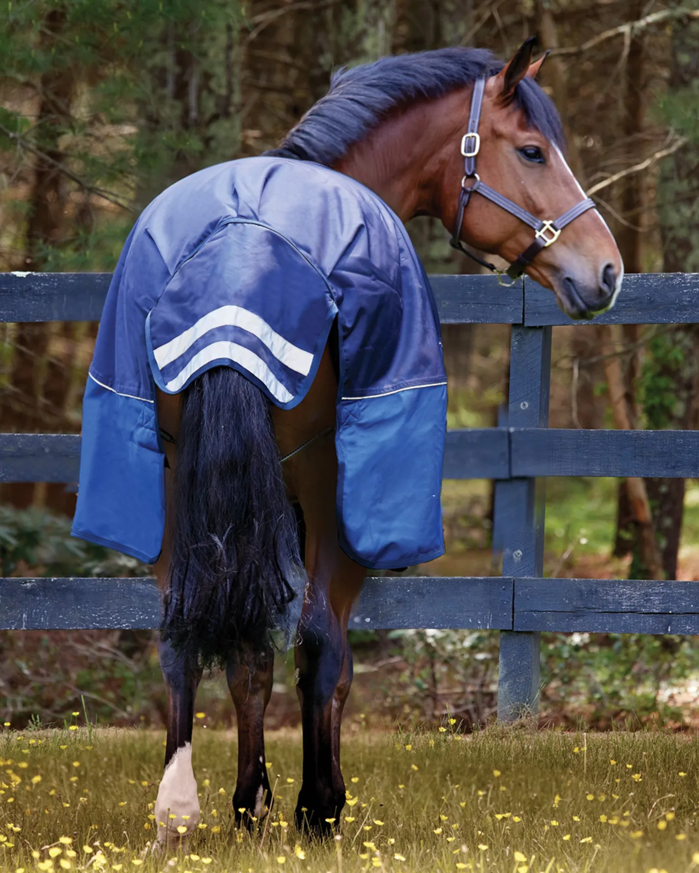 CWEAR BRANCH NorthWind™ Medium-Weight Turnout Blanket