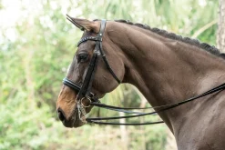 OTTO SCHUMACHER Tiffany Double Bridle