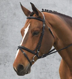 ERS Ovation® Comfort Crown Dressage Bridle