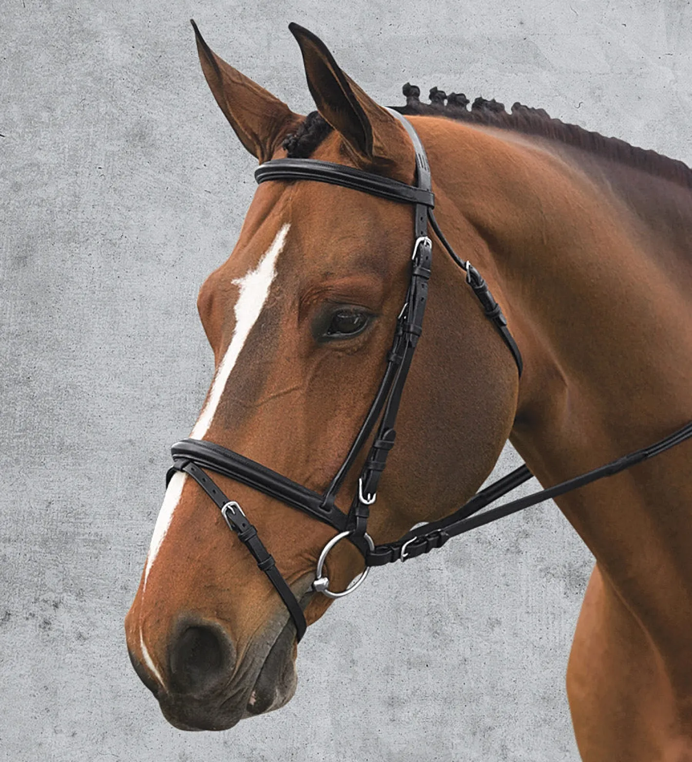 ERS Ovation® Comfort Crown Dressage Bridle