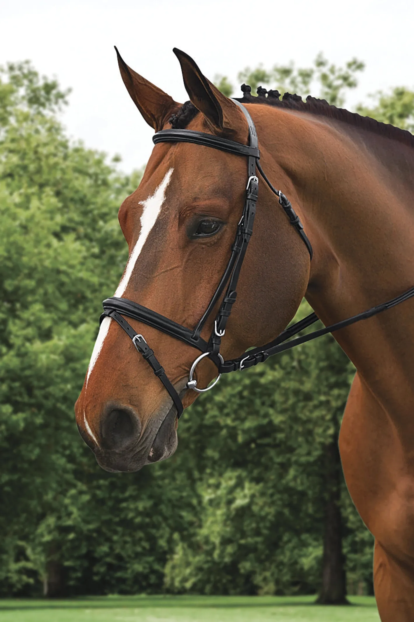 ERS Ovation® Comfort Crown Dressage Bridle