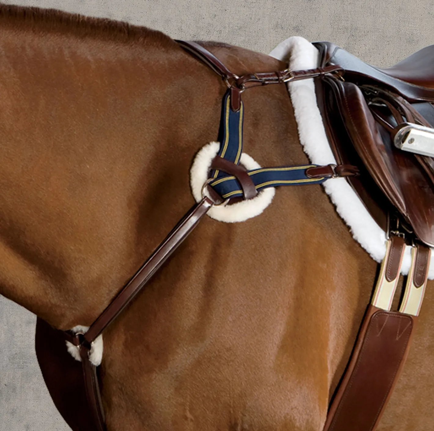 ERS Ovation® 4-Star 5-Point Eventing Breastplate