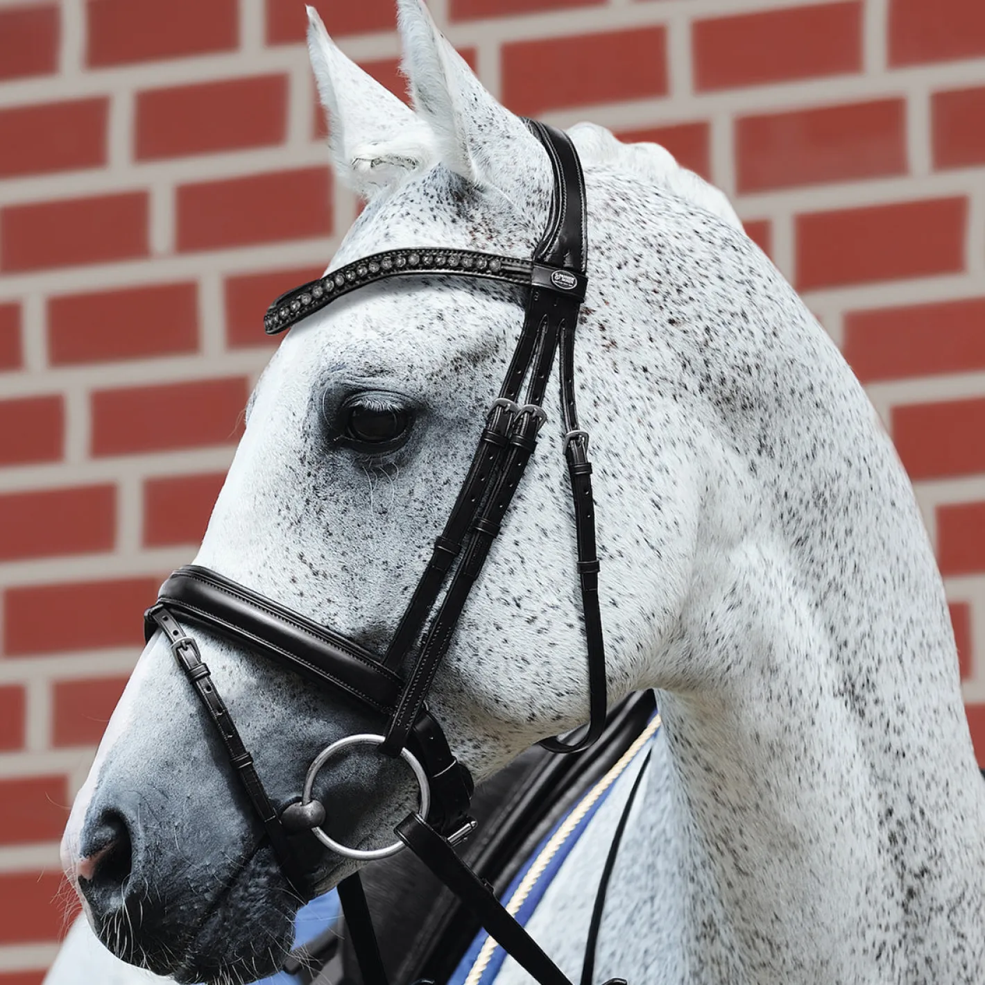 GEM-PASSIER Passier® Fortuna Snaffle Bridle