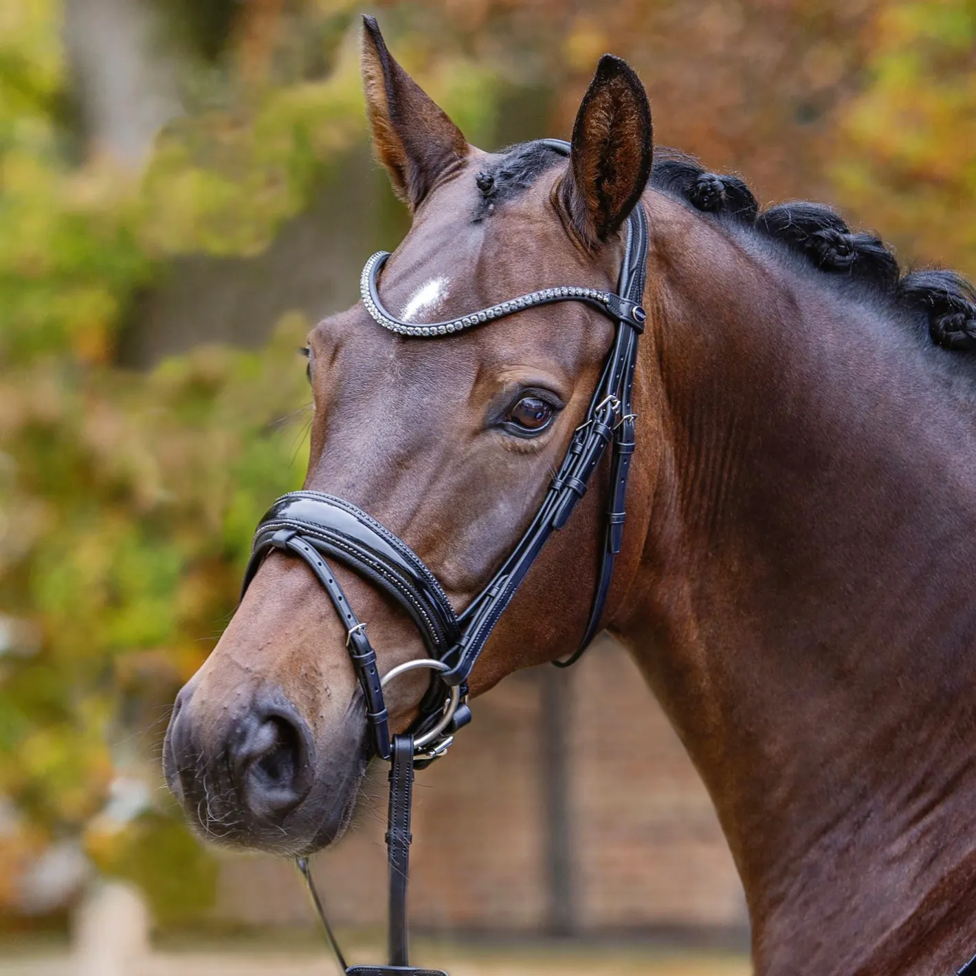 GEM-PASSIER Passier® Shadow Bridle