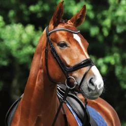 GEM-PASSIER Passier® Starlight Snaffle Bridle