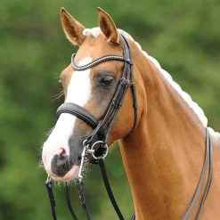 GEM-PASSIER PassierBLU® Dream Double Bridle