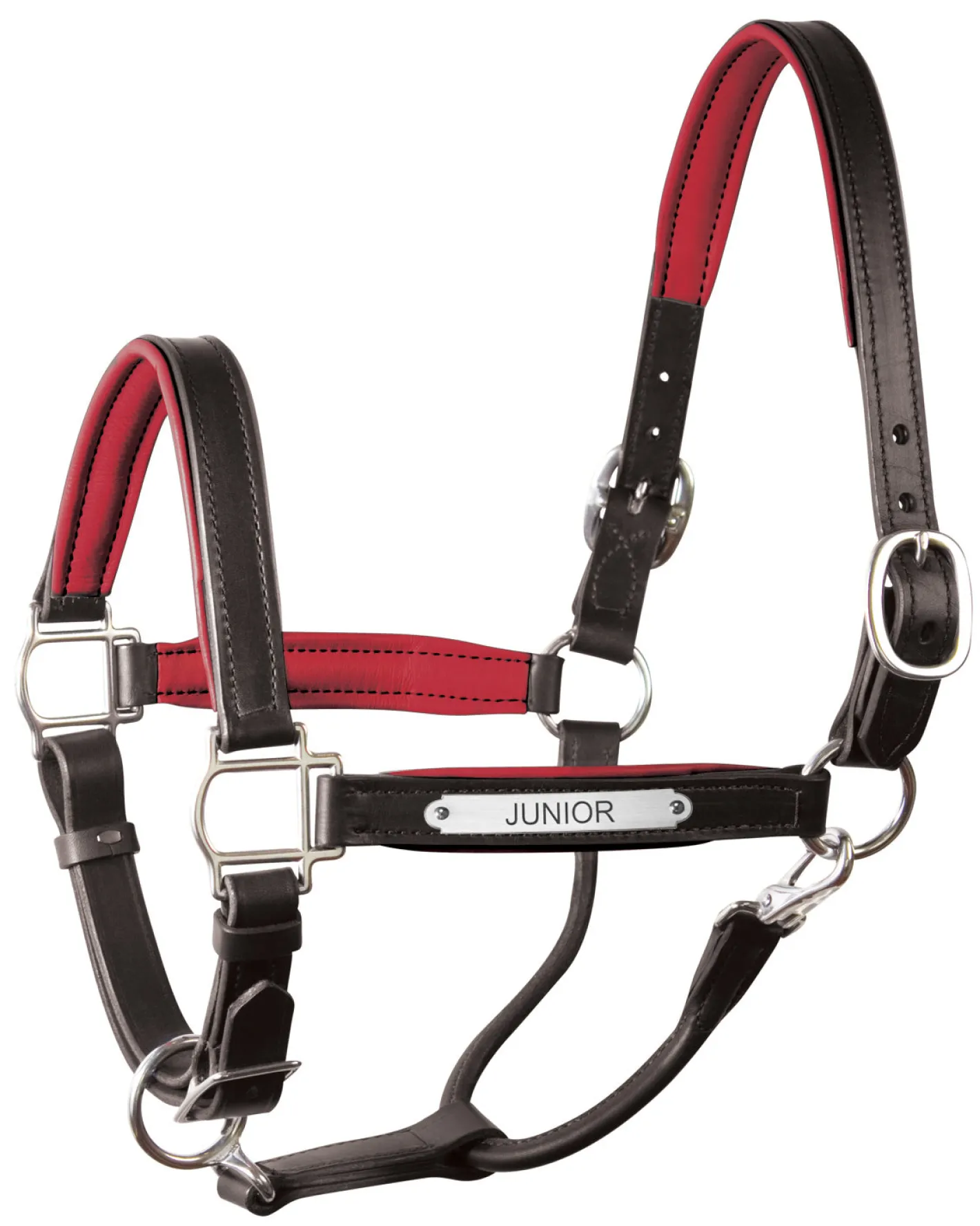 PERRIS LEATHER Perri’s® 1" Padded Leather Halter with Nameplate