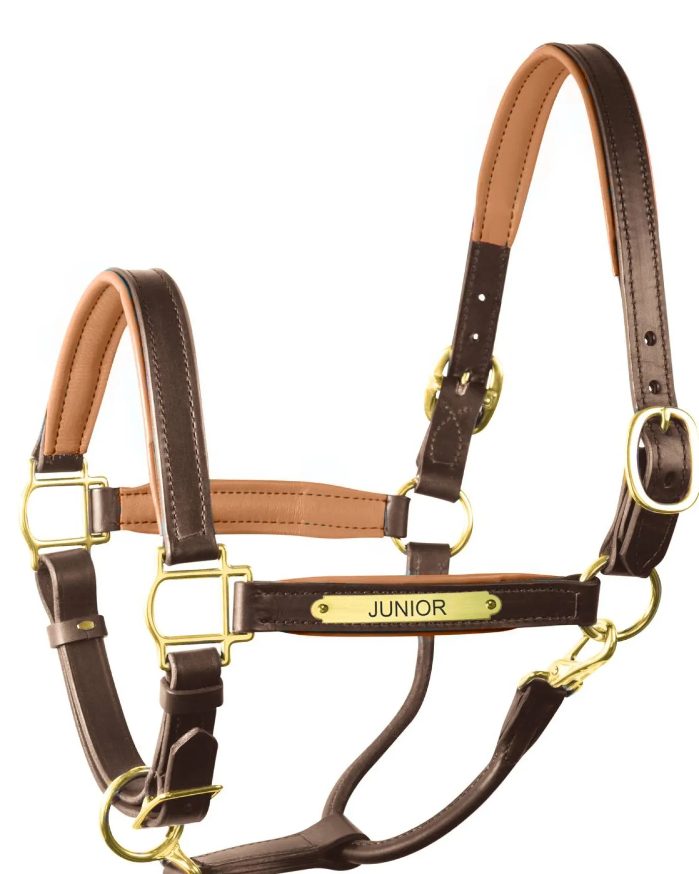 PERRIS LEATHER Perri’s® 1" Padded Leather Halter with Nameplate