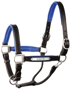 PERRIS LEATHER Perri’s® 1