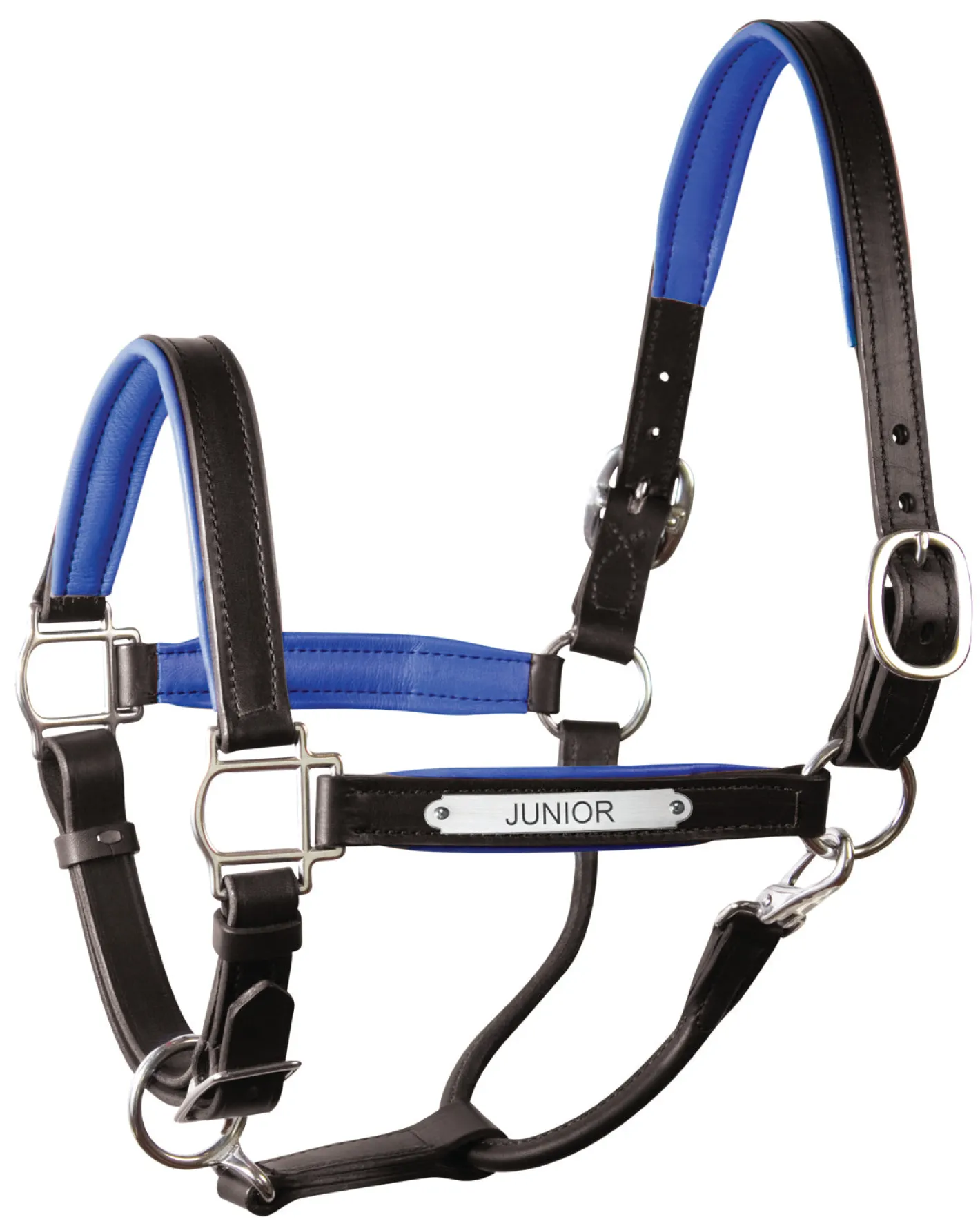 PERRIS LEATHER Perri’s® 1" Padded Leather Halter with Nameplate