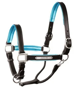 PERRIS LEATHER Perri’s® 1