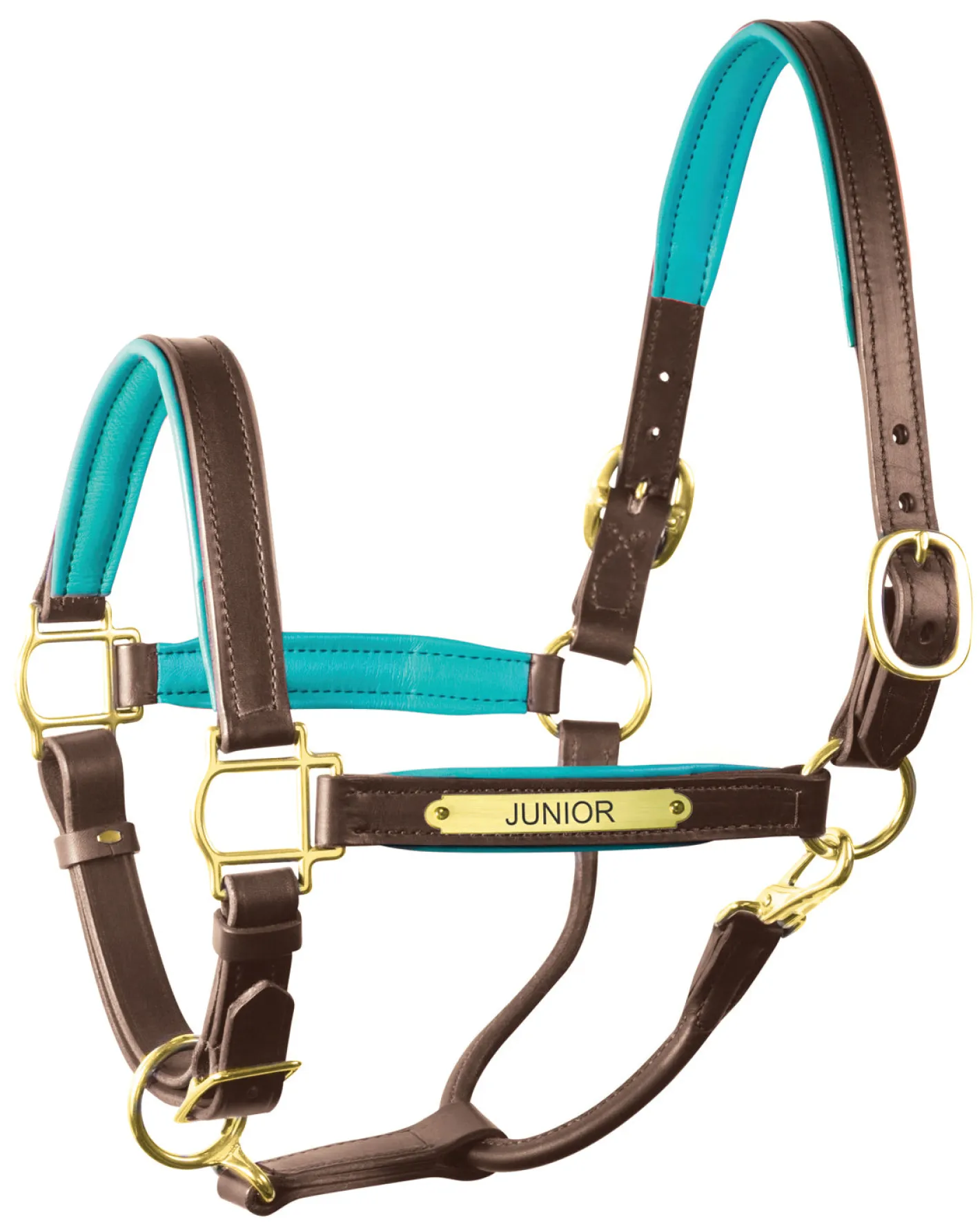 PERRIS LEATHER Perri’s® 1" Padded Leather Halter with Nameplate