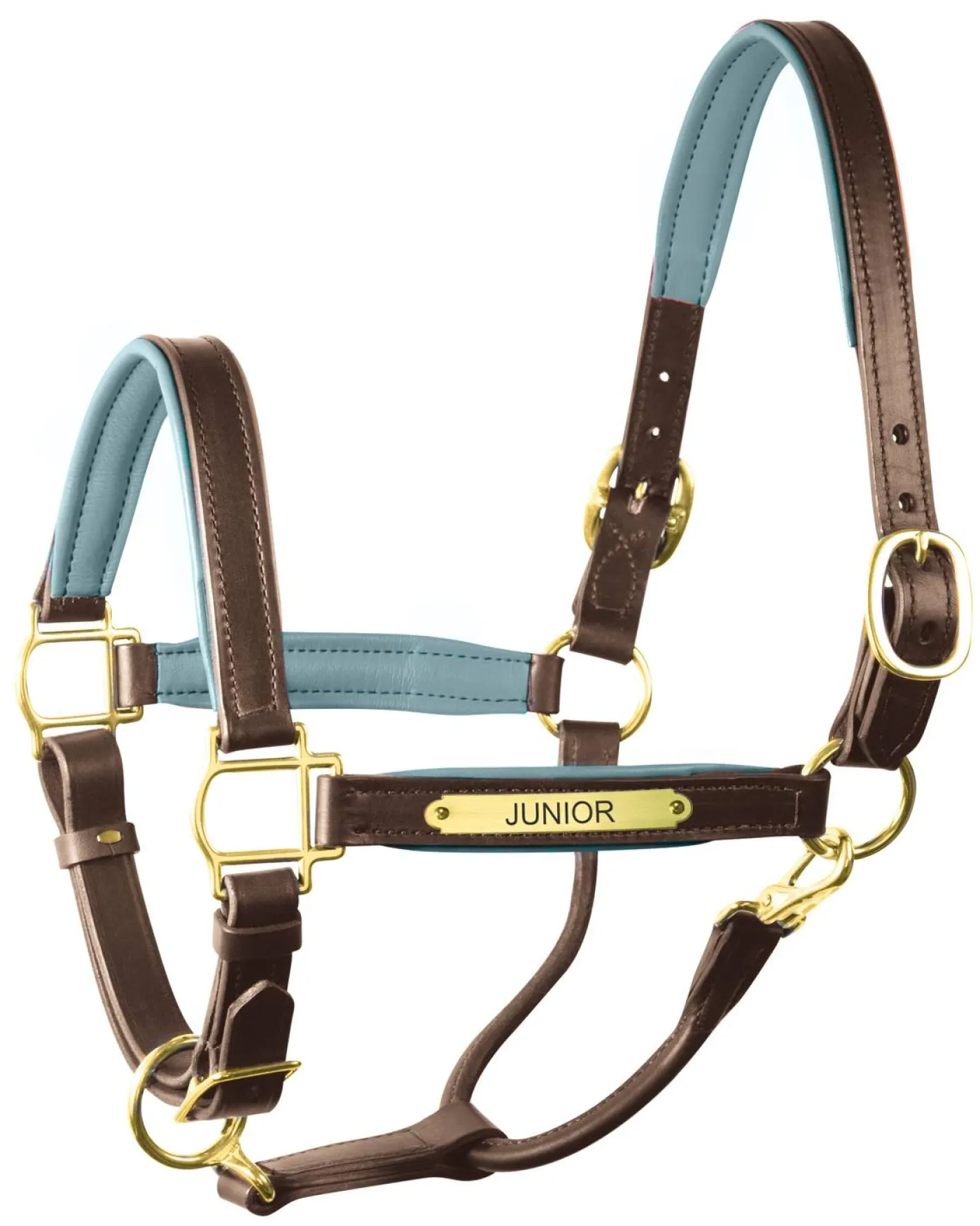 PERRIS LEATHER Perri’s® 1" Padded Leather Halter with Nameplate