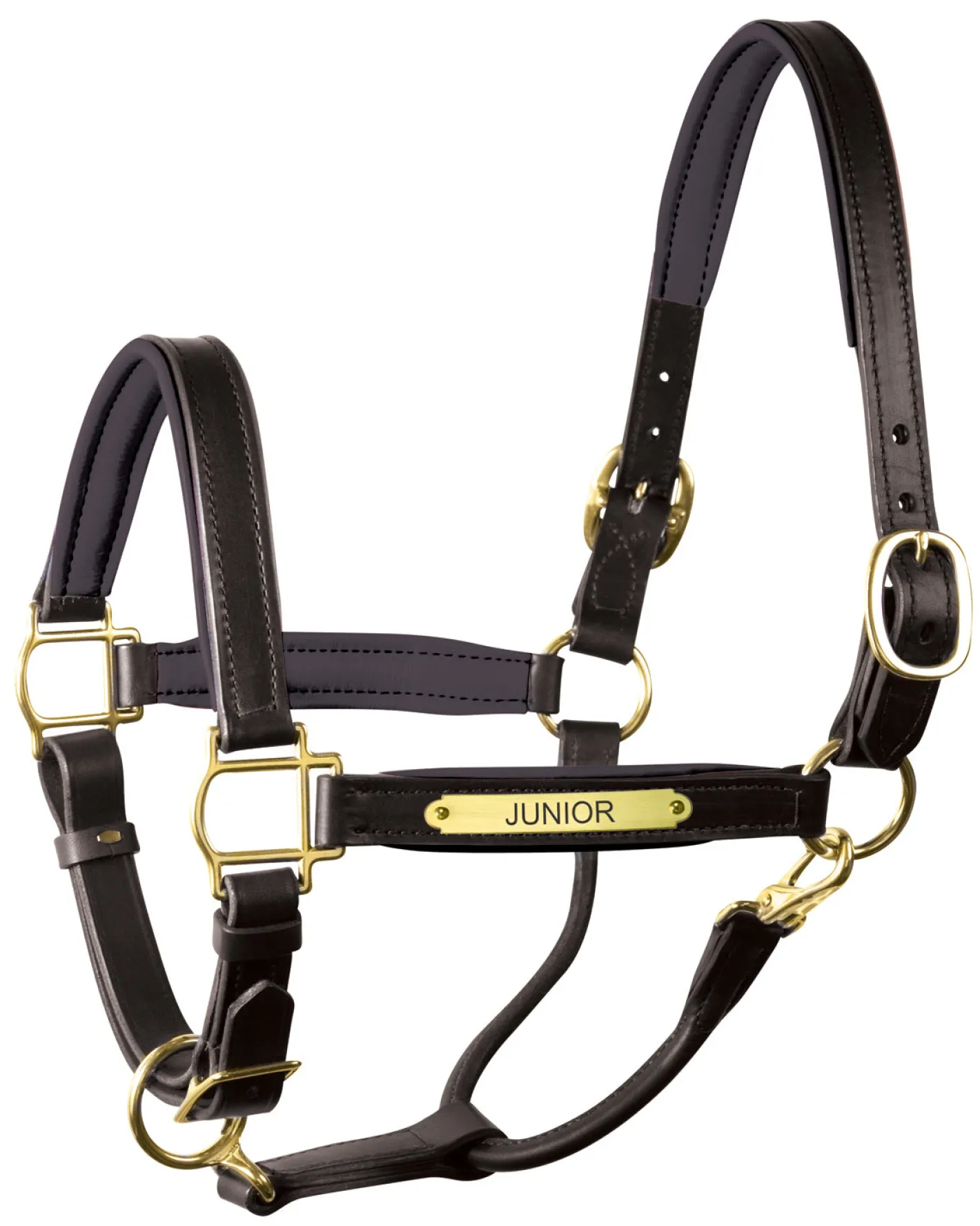 PERRIS LEATHER Perri’s® 1" Padded Leather Halter with Nameplate