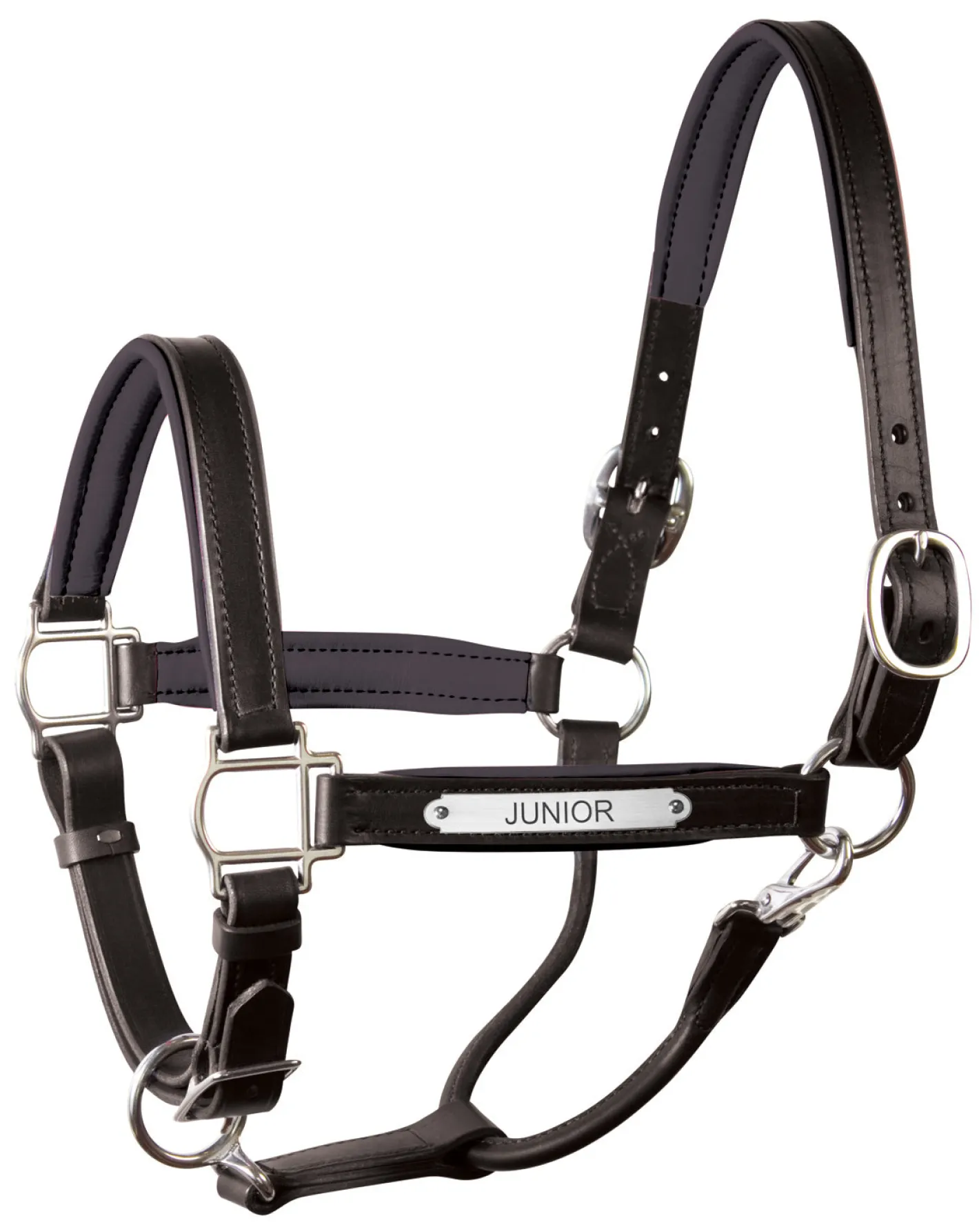 PERRIS LEATHER Perri’s® 1" Padded Leather Halter with Nameplate