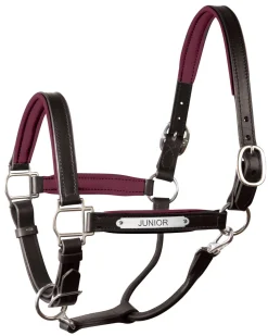 PERRIS LEATHER Perri’s® 1