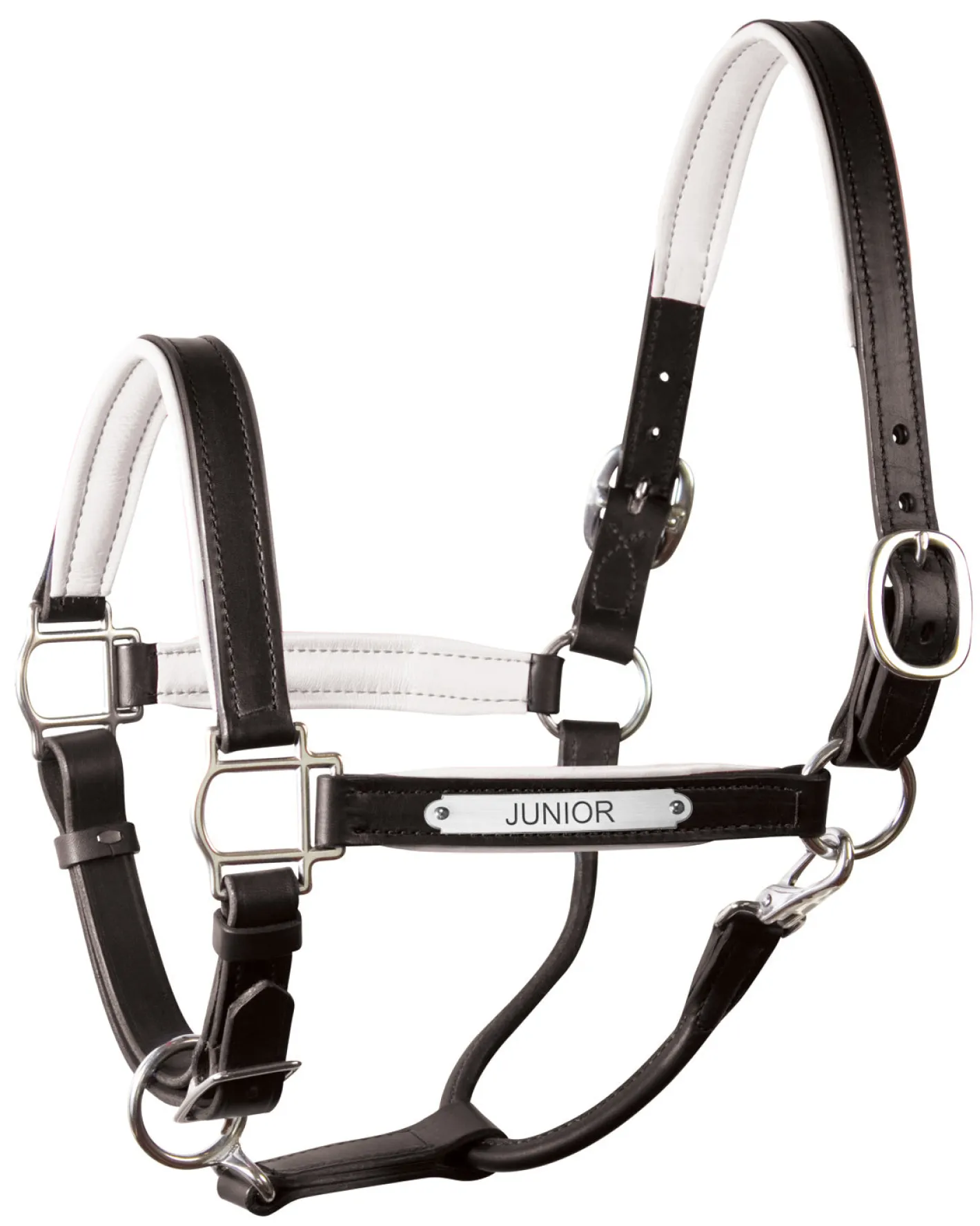 PERRIS LEATHER Perri’s® 1" Padded Leather Halter with Nameplate