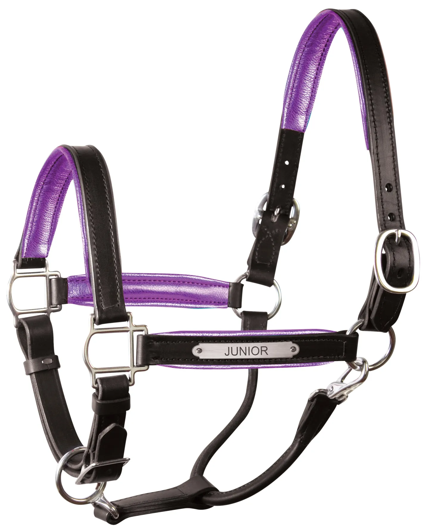 PERRIS LEATHER Perri’s® 1" Padded Leather Halter with Nameplate
